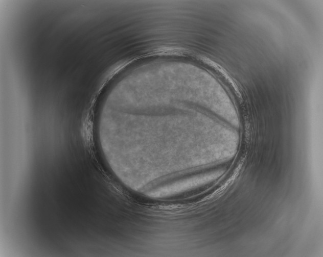 X0000102521066200809051438