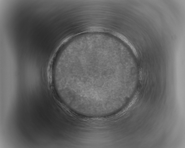 X0000102521067200809051438