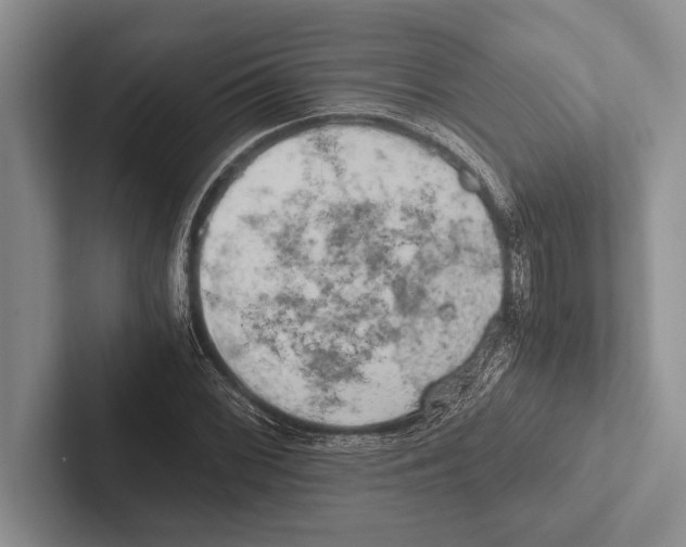 X0000102521068200809051438