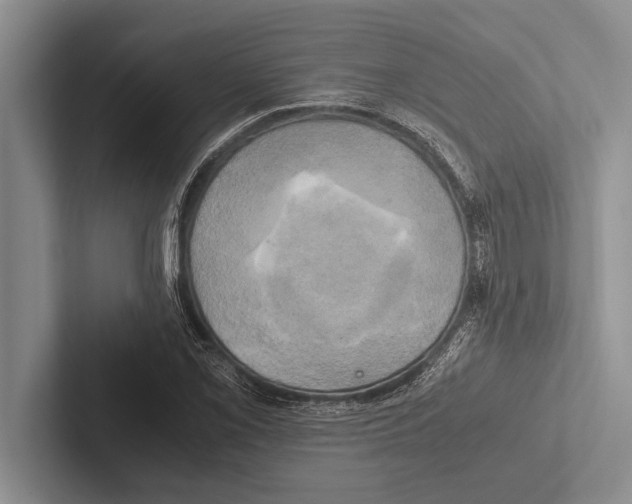 X0000102521069200809051438