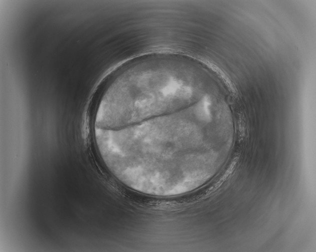 X0000102521070200809051438