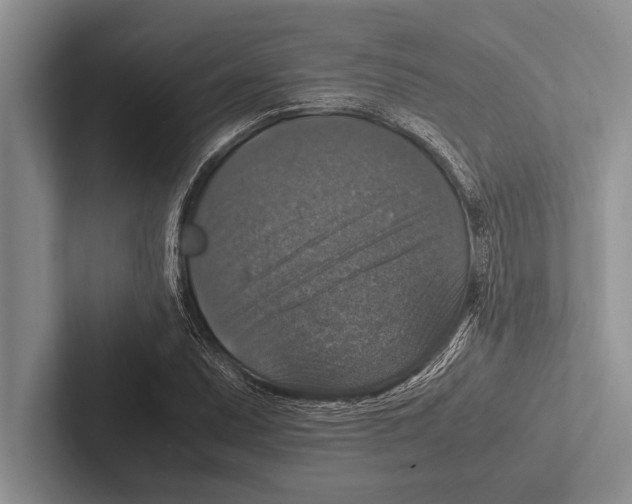 X0000102521071200809051438