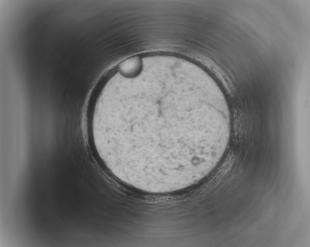 X0000102521072200809051438