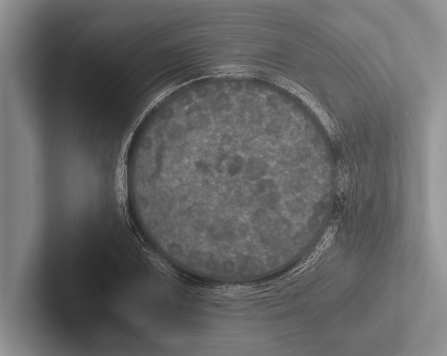 X0000102521075200809051438