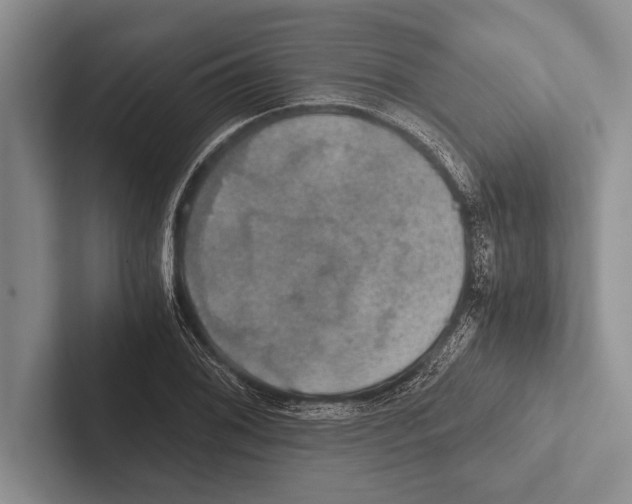 X0000102521076200809051438