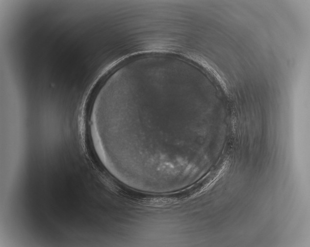 X0000102521077200809051438