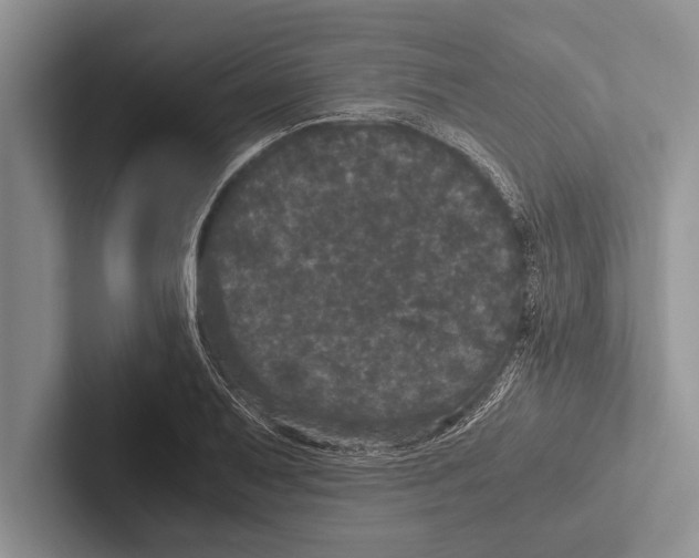 X0000102521079200809051438