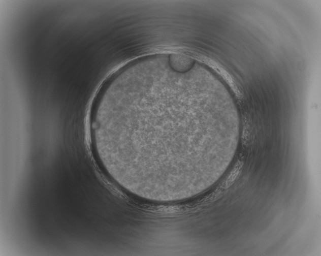 X0000102521080200809051438