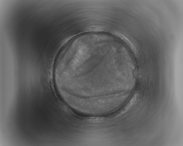 X0000102521081200809051438