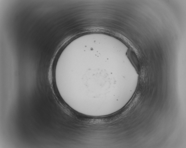 X0000102521082200809051438