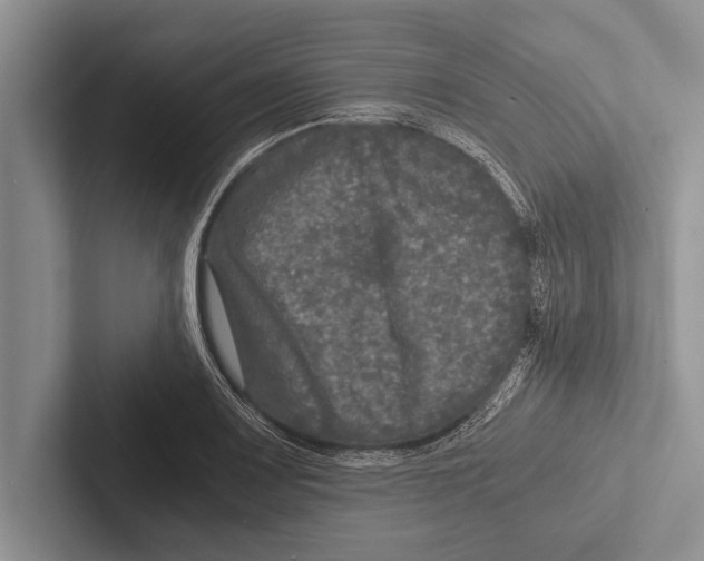 X0000102521083200809051438