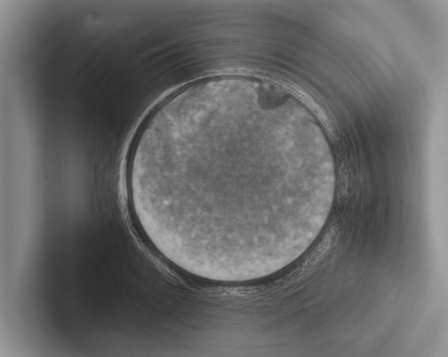 X0000102521084200809051438