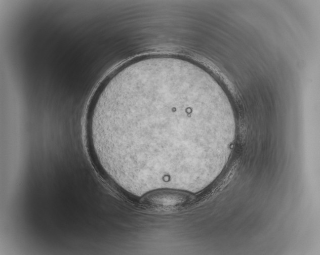 X0000102521085200809051438