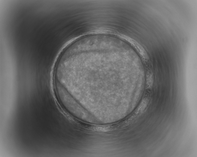 X0000102521086200809051438