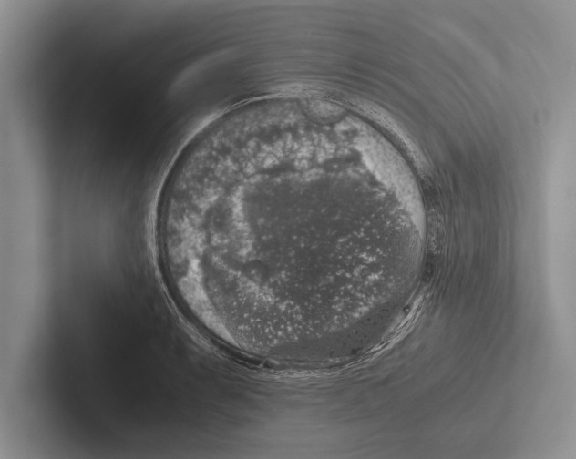 X0000102521087200809051438