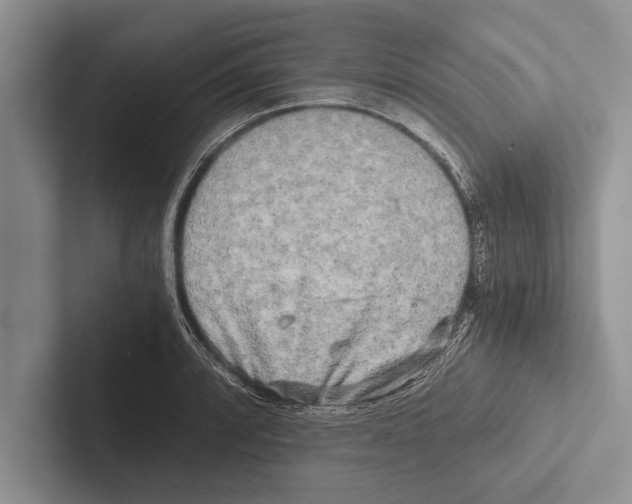 X0000102521088200809051438