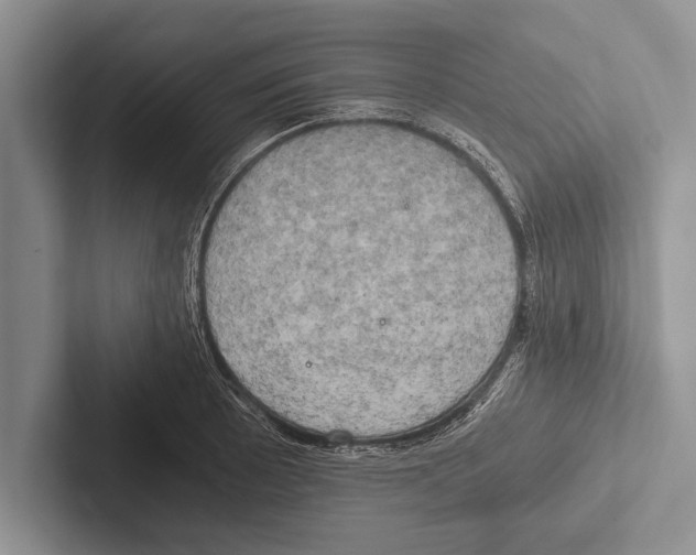 X0000102521089200809051438