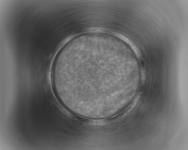 X0000102521090200809051438