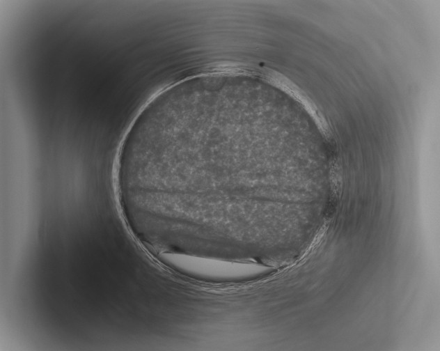 X0000102521091200809051438