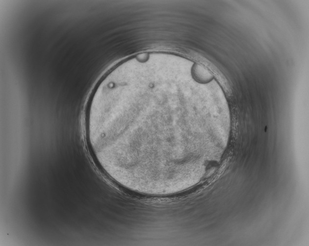 X0000102521092200809051438