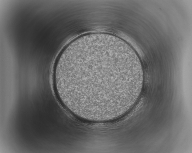 X0000102521093200809051438