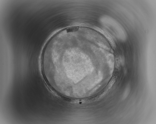 X0000102521094200809051438