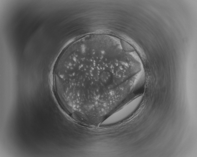 X0000102521095200809051438