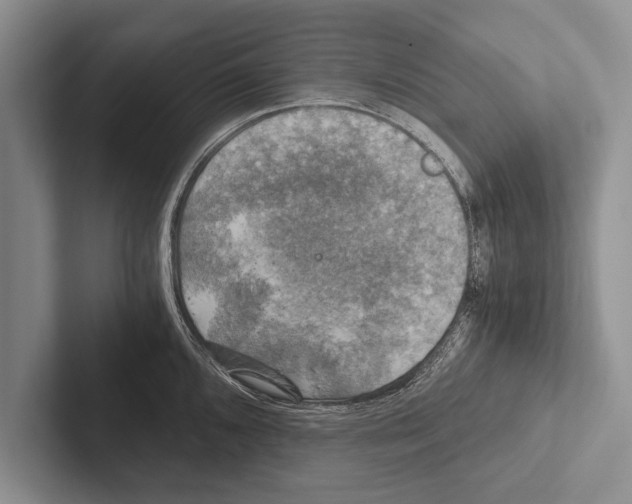 X0000102521096200809051438