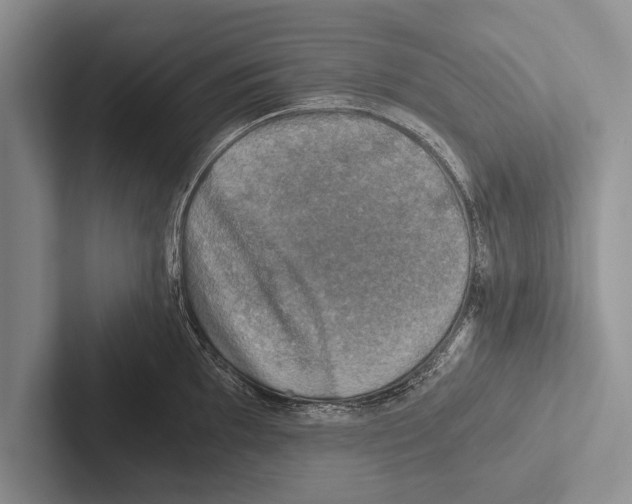 X0000102521097200809051438