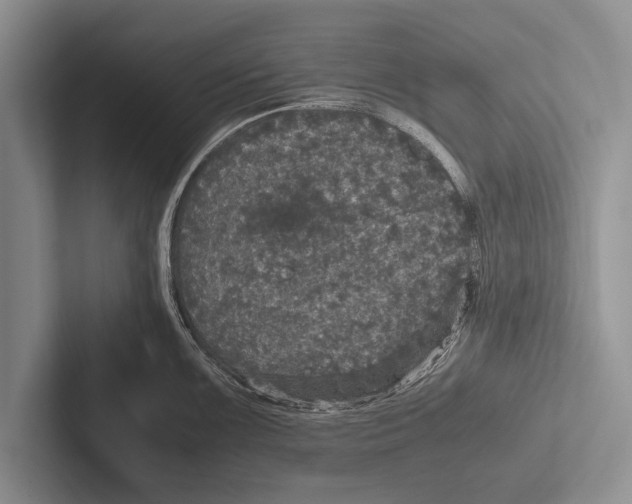 X0000102521099200809051438