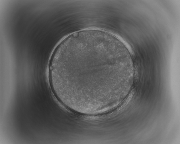 X0000102521100200809051438