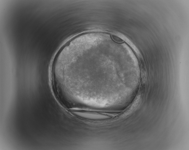 X0000102521101200809051438