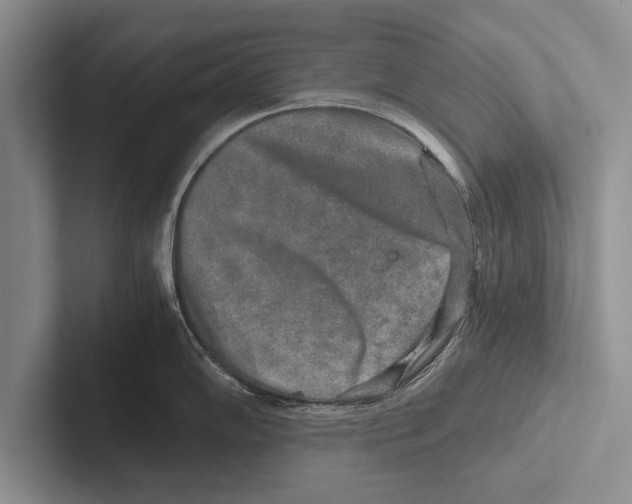 X0000102521102200809051438