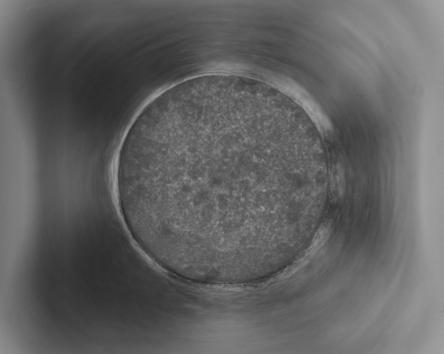 X0000102521103200809051438