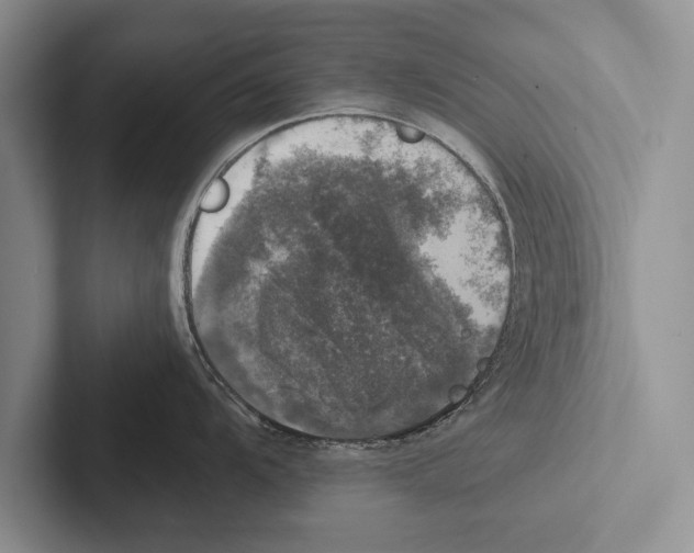 X0000102521104200809051438