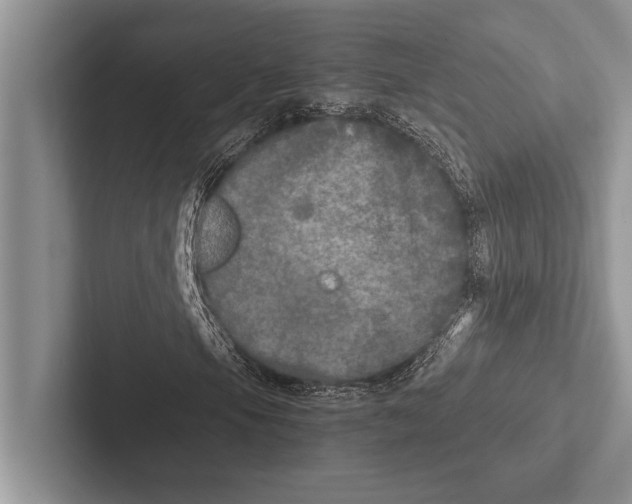 X0000102521105200809051437