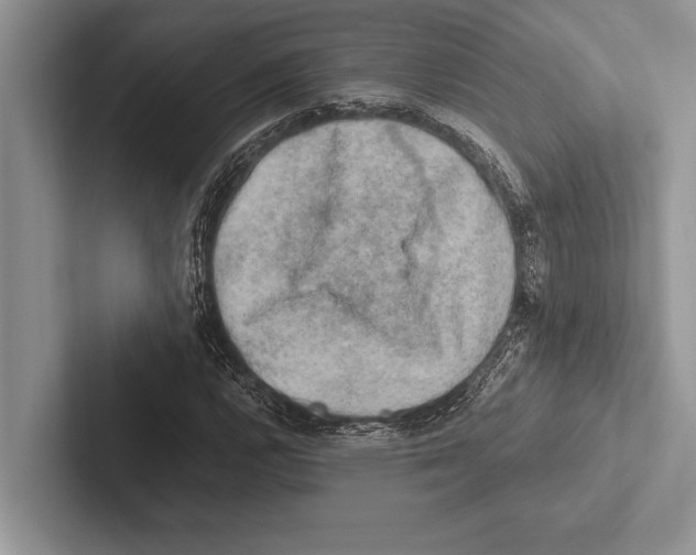 X0000102521112200809051437