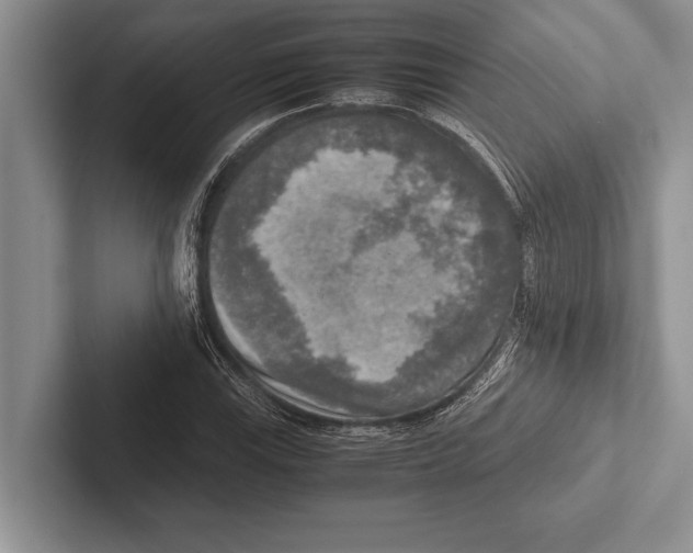 X0000102521115200809051437