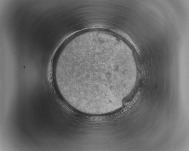 X0000102521116200809051437