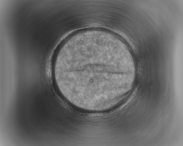 X0000102521118200809051437