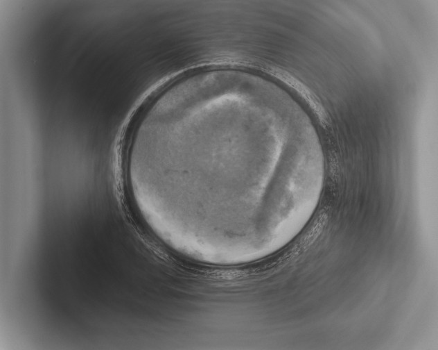 X0000102521120200809051437