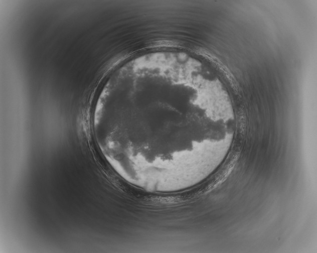 X0000102521121200809051437