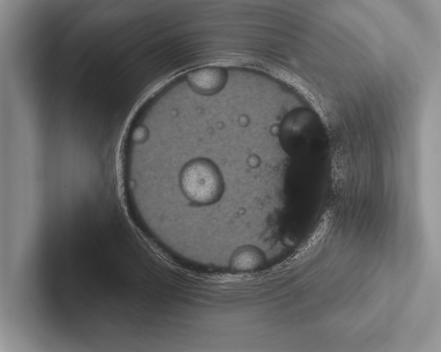 X0000102521122200809051437