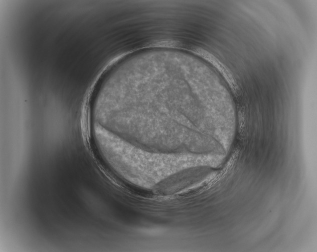 X0000102521123200809051437