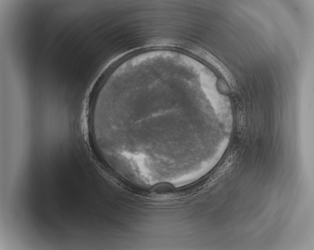 X0000102521124200809051437