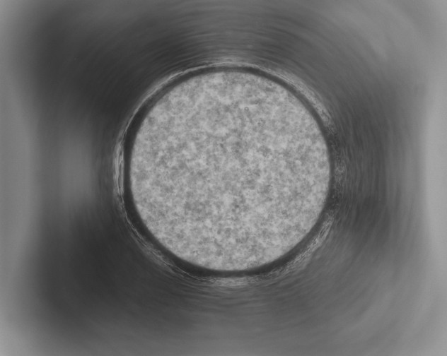 X0000102521126200809051437