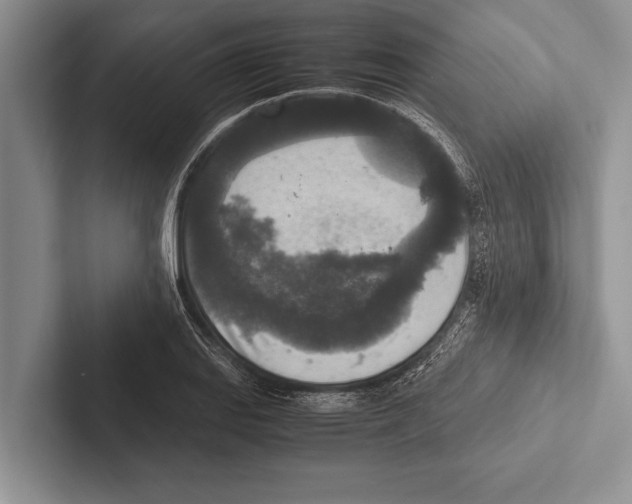 X0000102521127200809051437