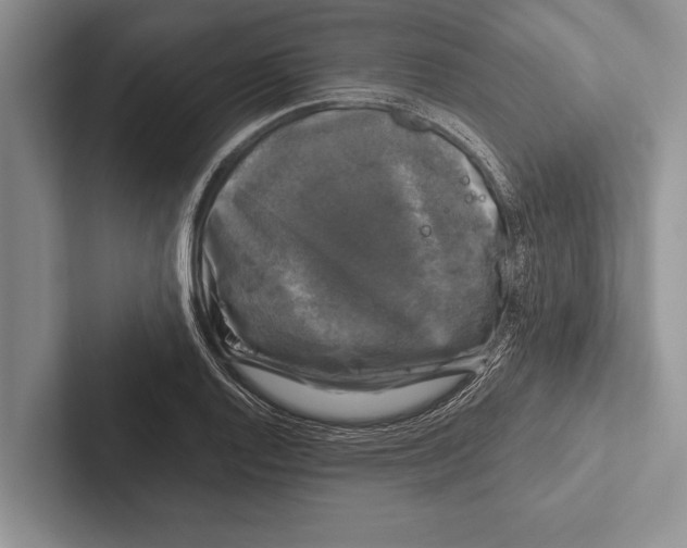 X0000102521128200809051437