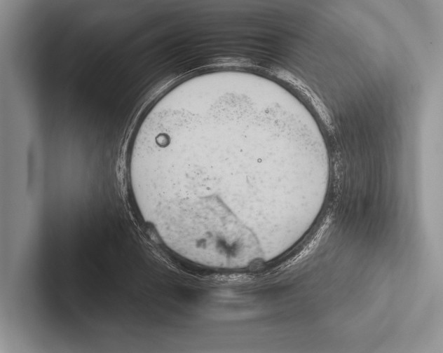 X0000102521129200809051437