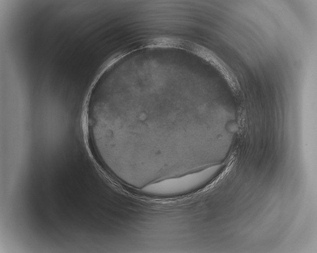 X0000102521130200809051437